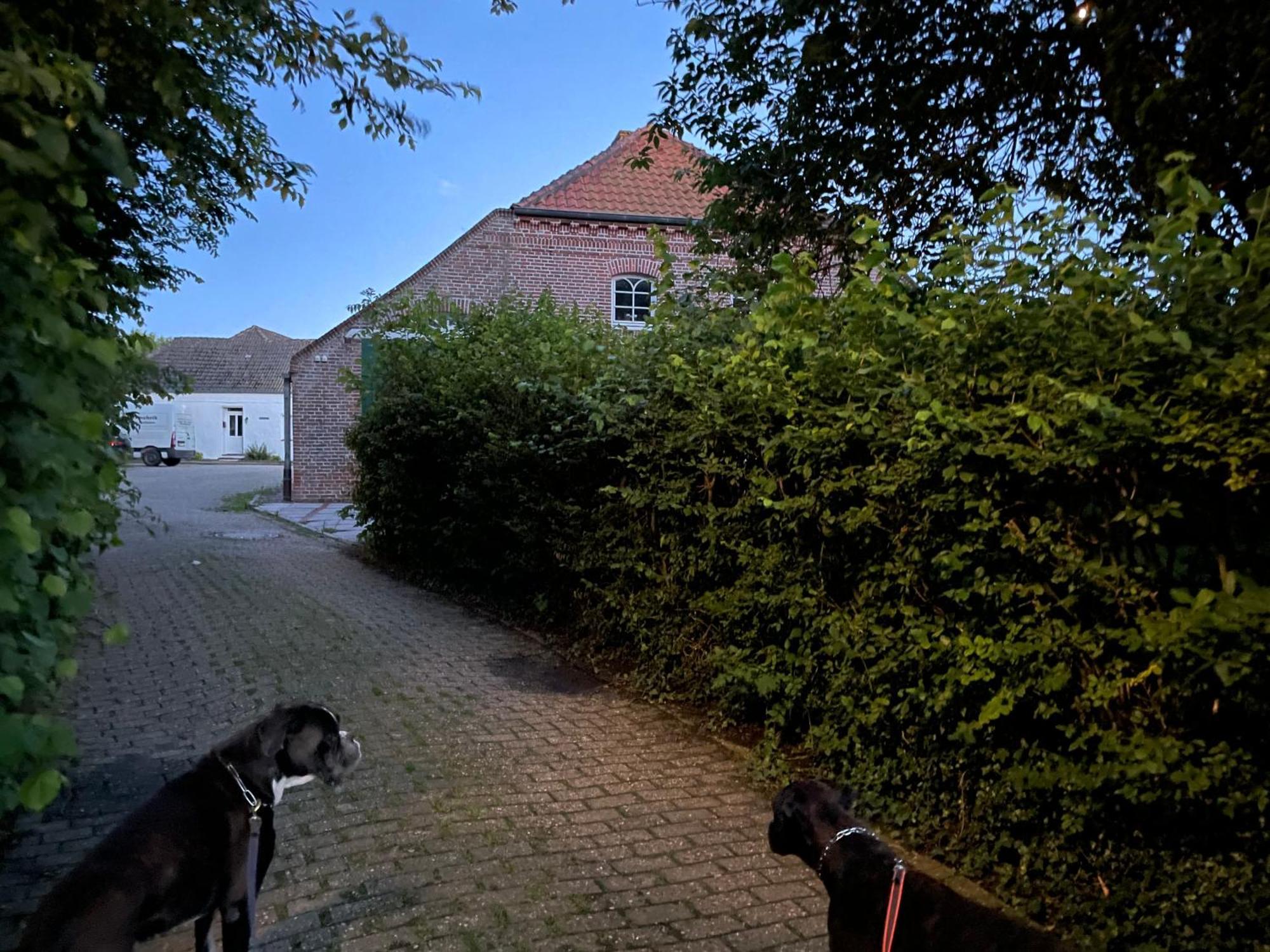Gulfhaus Alte Meesterei Manslagt Exterior foto